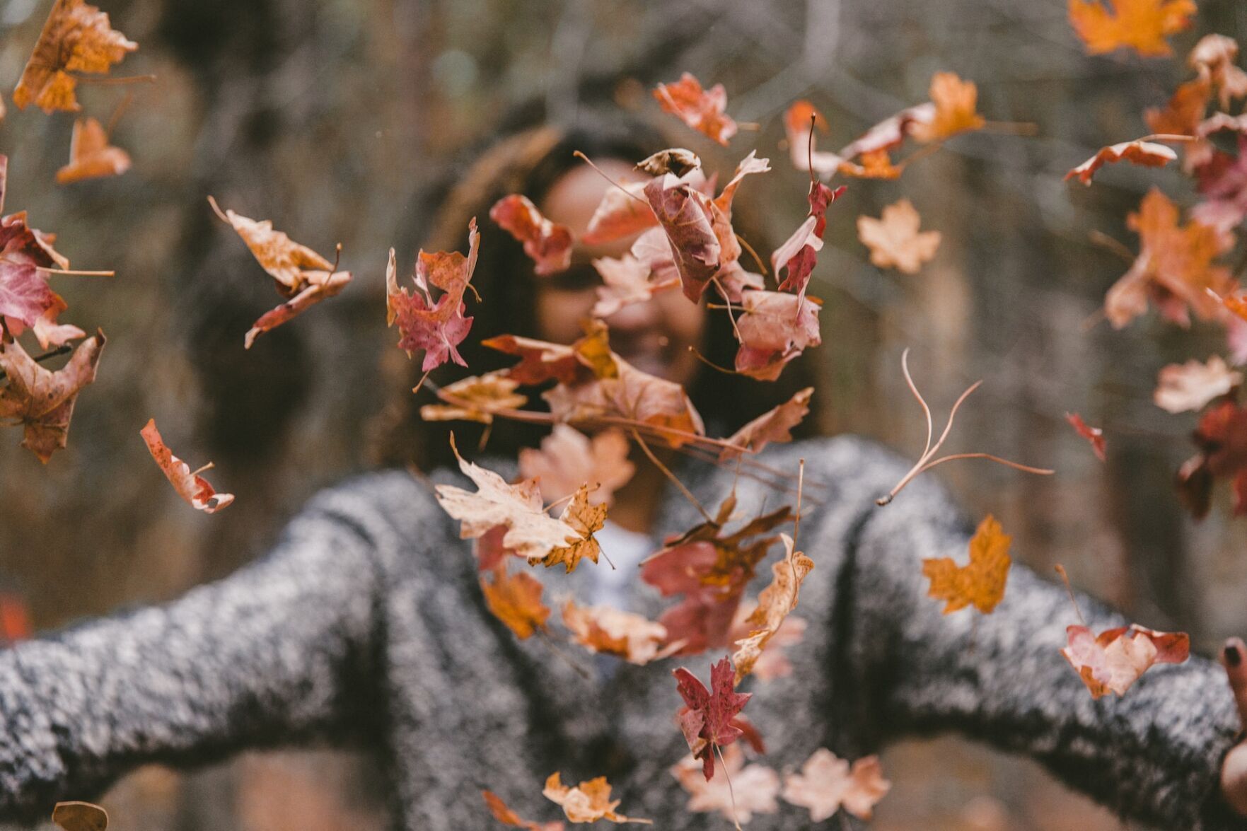 fall 2